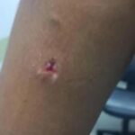 PRF flagra tentativa de furto de carga dos Correios na BR-153