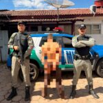 Homem é encontrado morto após incêndio em caminhão de São Luiz do Norte