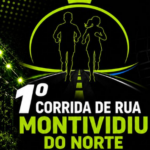 Novas imagens mostram momento antes de micro-ônibus pegar fogo na BR-153