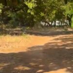 PRF apreende mais de 440 kg de drogas e prende motorista em Goiás