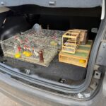Micro-ônibus pega fogo em garagem da Secretaria de Obras em Goiás