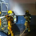 PRF resgata 24 aves silvestres escondidas no porta-malas de carro em Goiás