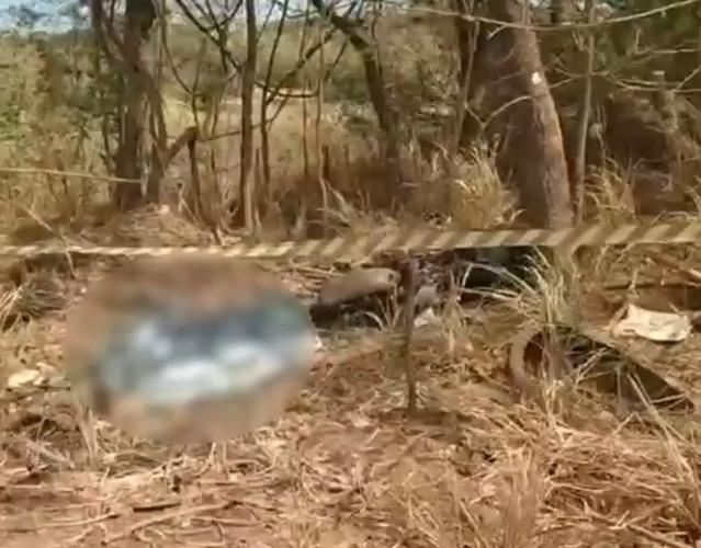 Casal morre após moto sair da pista e bater contra árvore na BR-060