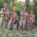 Goiás antecipa início do plantio de soja para 20 de setembro