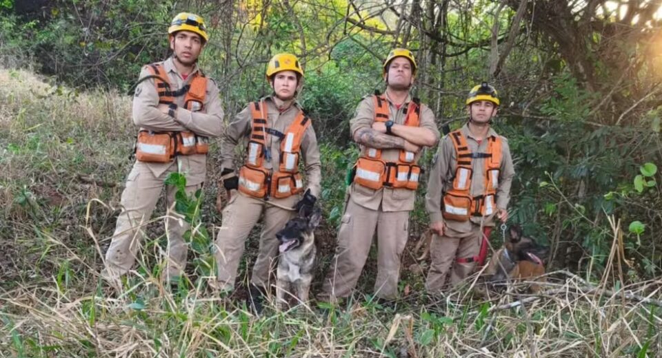 Equipe de Buscas e Salvamento com Cães do Corpo de Bombeiros — Foto: Divulgação/Corpo de Bombeiros