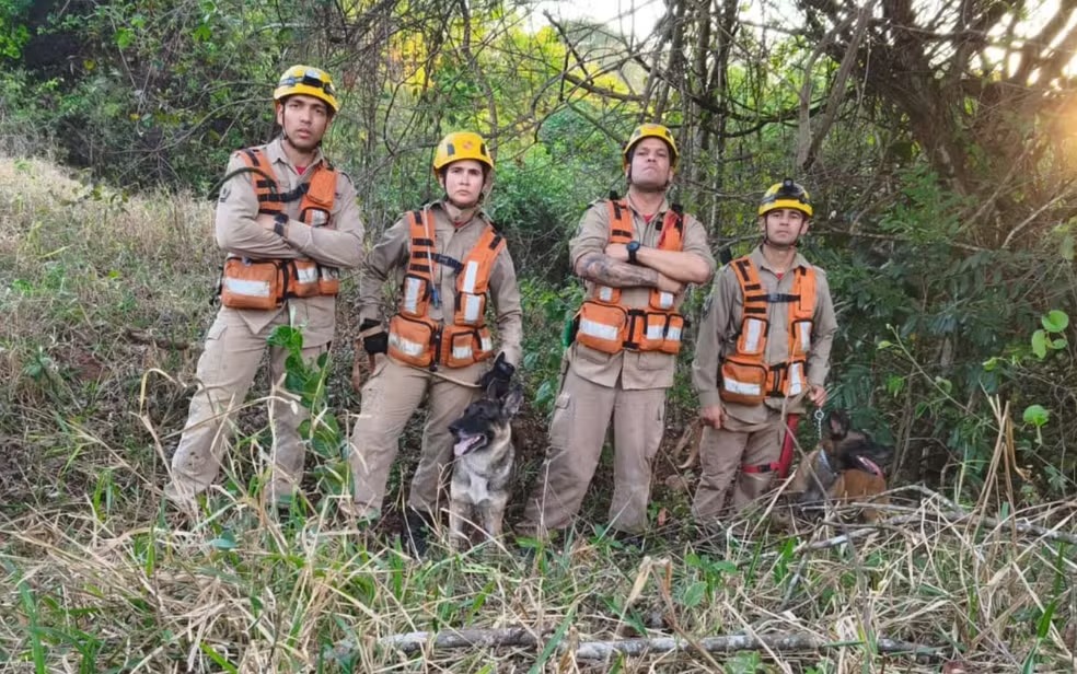 Equipe de Buscas e Salvamento com Cães do Corpo de Bombeiros — Foto: Divulgação/Corpo de Bombeiros