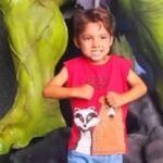 Idoso é encontrado com vida após 61 horas de buscas em mata