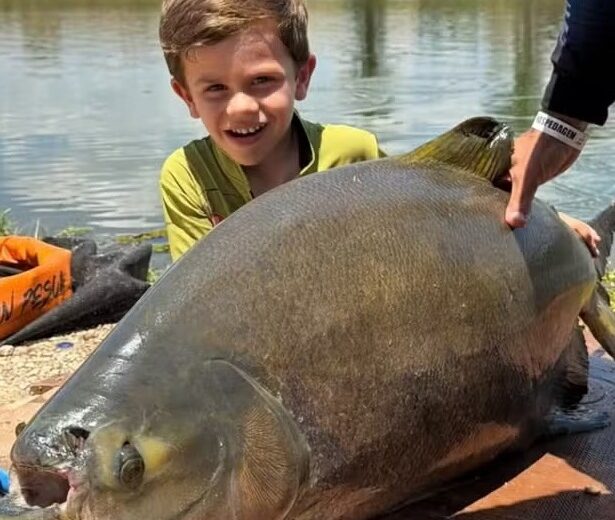 Menino de 4 anos pesca peixe de 25kg em Goiás — Foto: Arquivo pessoal/Duilio Guimarães Teles