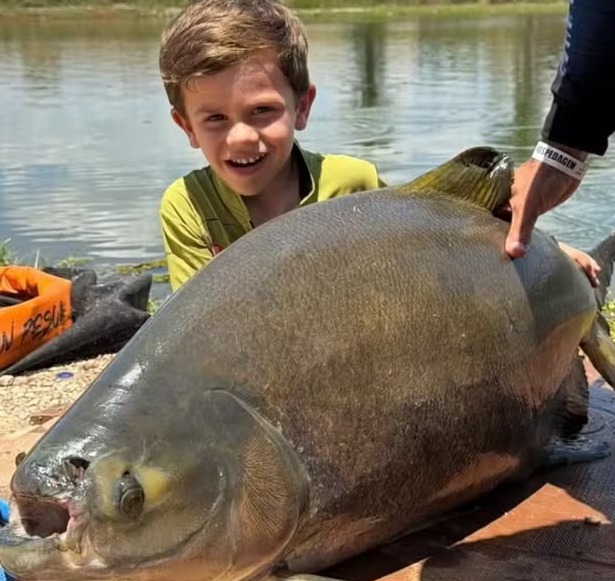 Menino de 4 anos pesca peixe de 25kg em Goiás — Foto: Arquivo pessoal/Duilio Guimarães Teles