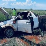Carro bate de frente com cinco bovinos na GO-446, em Iaciara