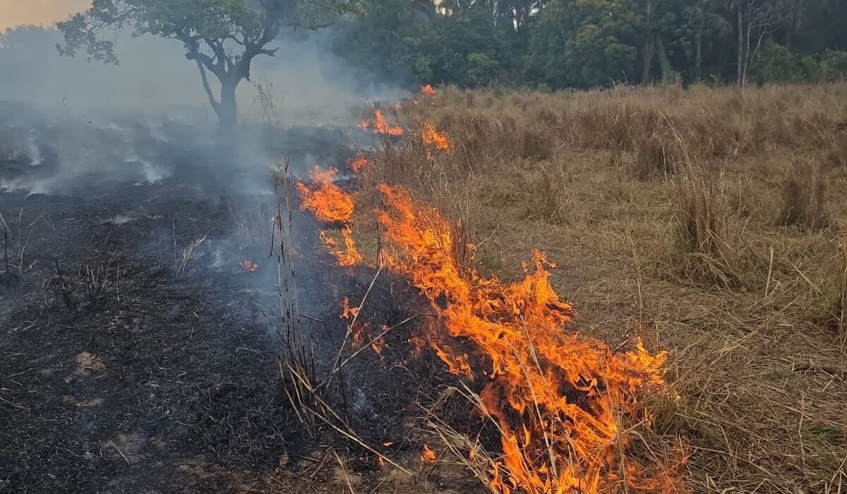 Incêndio se espalha por pastagem e mobiliza bombeiros às margens da BR-153 em Campinorte