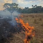 PRF recupera caminhão com carga de carne roubado na BR-153 em Goiás