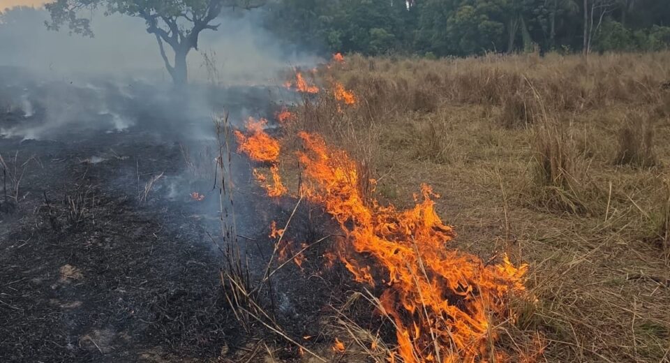 Incêndio se espalha por pastagem e mobiliza bombeiros às margens da BR-153 em Campinorte