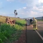 Imagem de Nossa Senhora de Nazaré vinda de Israel chega a paróquia de Goiânia nesta quarta-feira (14)