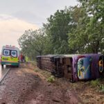 Cerca de 15 cães são encontrados mortos dentro de sacos plásticos no Tocantins