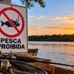 Capivara é capturada dentro de ambulatório de hospital em Minaçu