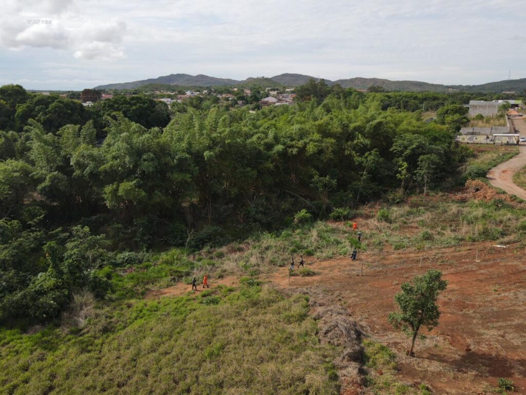 Força-tarefa monitora presença de onça em área urbana de Uruaçu